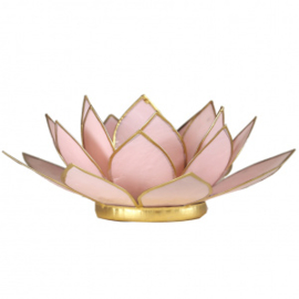 Lotuslicht licht roze