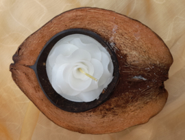 Bloem in kokosnoot kaars