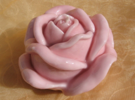 Rozen kaars roze of wit