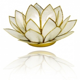 Lotus sfeerlicht parelmoer