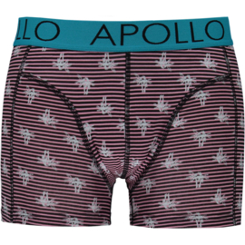 000161200012 MEN BOXERSHORTS GIFTBOX 2-PACK