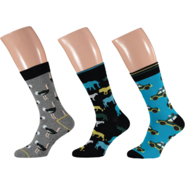 Art. 000120200017 Men Computer Sock 3-pack