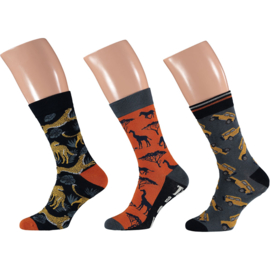 Art. 000120200017 Men Computer Sock 3-pack