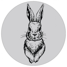 Muurcirkel rabbit (grijs)