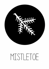 Mistletoe