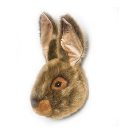 Dierenkop haas Lewis
