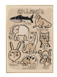 Poster animal collection