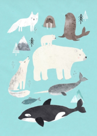 Artic animals