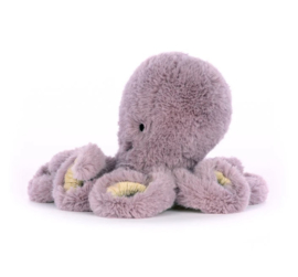 Maya octopus baby