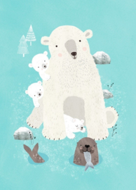 Artic animals