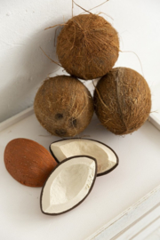 Badspeeltje / bijtspeeltje kokosnoot