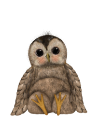 Tiny owl