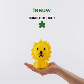 Leeuw bundle of light