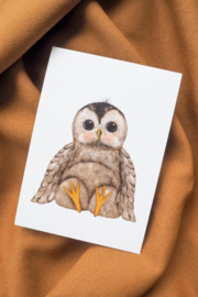 Tiny owl