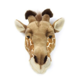 Dierenkop Giraffe