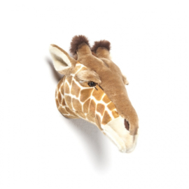 Dierenkop Giraffe