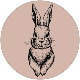 Muurcirkel rabbit (oudroze)