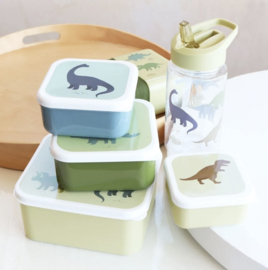 Lunch & snack box dino (set van 4)