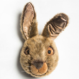 Dierenkop haas Lewis