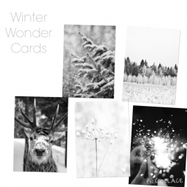 Winter set van 5 ansichtkaarten