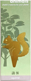 Plant Animal Squirrel eekhoorn