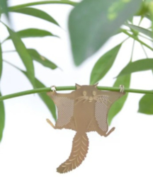 Plant Animal Flying Squirrel