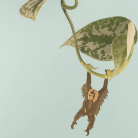 Plant Animal Orangutan