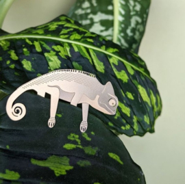 Plant Animal Chameleon kameleon