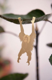 Plant Animal Orangutan