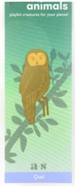 Plant Animal Owl uil