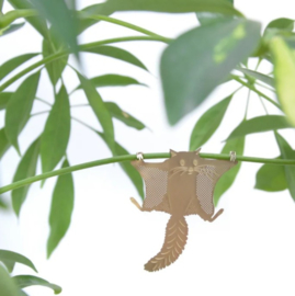 Plant Animal Flying Squirrel