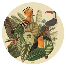 NIN-NIT wall art Tropical Toucans