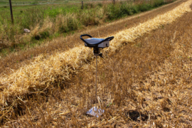 Penetrologger Pro (D0038262)Eijkelkamp