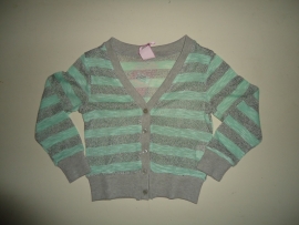 ZM3676 vest met streep mint groen/grijs(7pcs)