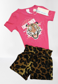 ZM5343/5337 set  Camel/ ROZE  top+ short ( 7pcs)