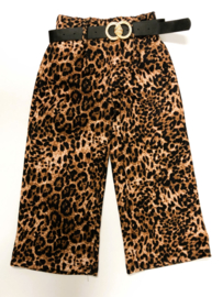FRKU2572 panterbroek CAMEL  ( 6pcs)