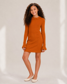 FRYY948  jurk CAMEL (6pcs)