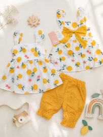 ZMCN2201 set GEEL (5pcs)