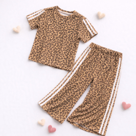 FRKU26109 set  CAMEL ( 6pcs)