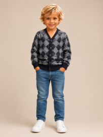 ZM3619 vest met ruit zwart 7pcs