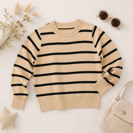 FRHS3019 Trui  BEIGE ( 6pcs)