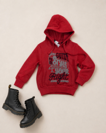 ZM3747 HOODIE ( 10 pcs)
