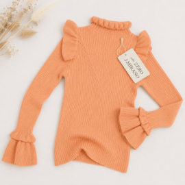 ZMCN3110 trui  ROZE   (7pcs)