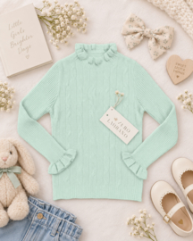 ZMCN3113 trui   MINT (6pcs)