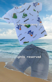 ZMCNB2013 set AQUA  (4pcs).