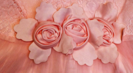 ZMCN1856 jurk  ROZE ( 5pcs)
