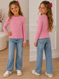 FRHS2762 trui  ROZE  ( 6pcs)