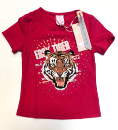 ZM5337 shirt ( 7pcs)