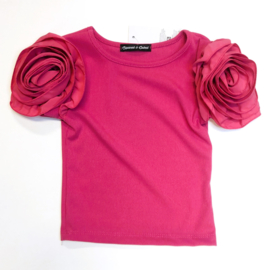 FRSQ244205 top ROZE( 6pcs)