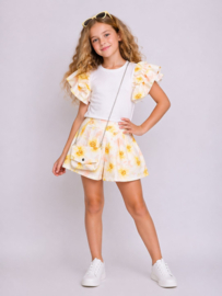 FRKU5677 set  GEEL  ( 6pcs)